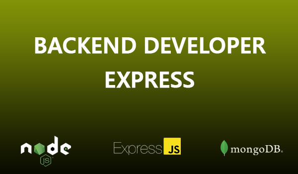 Node Express Developer