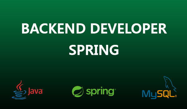 Java Spring Developer