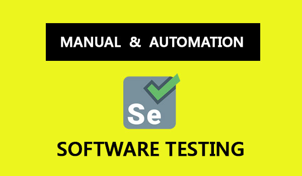 software testing